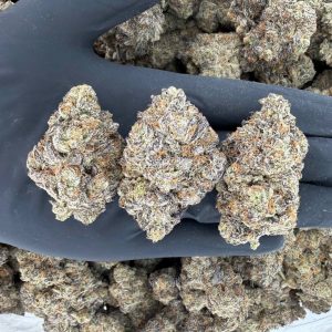 🌺 ZaZa Tier – RS11 🌺Nose: 10/10 🔥 Earthy Sweet 😇