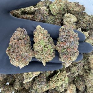 🌞 Solar Skunk Tier: Runtz 🍬 Nose: 7/10 — Pungent & Fruity 😋