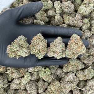 🌅 Exotic Tier: Sunset Sherbet Nose: 9/10 🔥 Sweet Earth 🤗