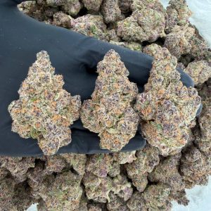 π Exotic Tier: Super Boof Nose: 10/10 π₯ Fruity Dank π