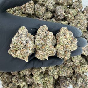 💎 Platinum Tier: Swampwater Fumez Nose: 10/10 🔥 — Skunky Diesel 🤩