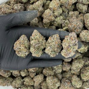 πΏ Exotic Tier: The Super Nose: 9/10 π₯ Sweet Woods πΆβπ«οΈ