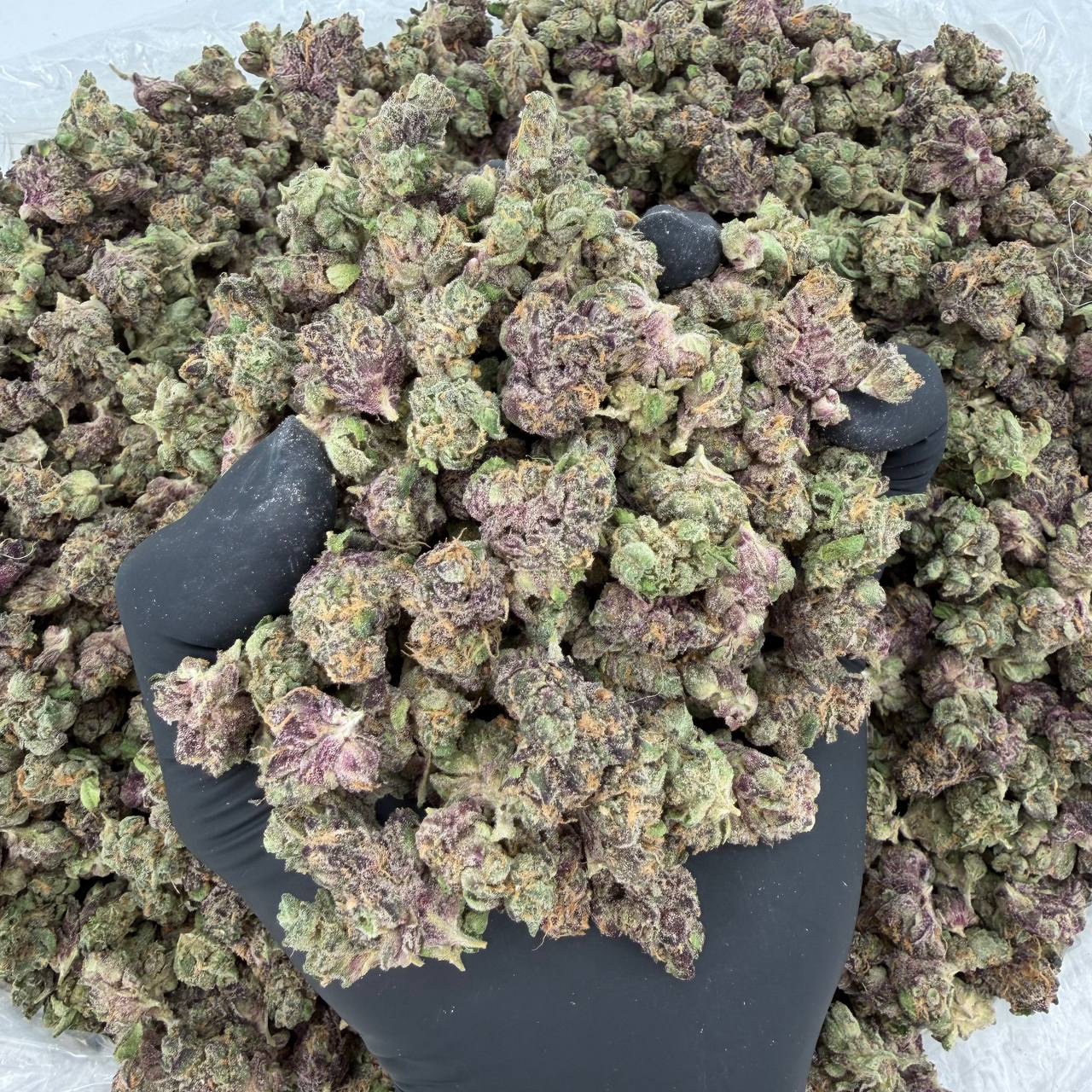 🎤🔥 Rapper Smalls Tier: Fruit Roll Upz 👃 Nose: 10/10 🔥 Sweet Woody Fruit 🍌