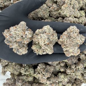 π€ Rapper Weed β LA Cherries Our highest quality weed Nose: 10/10 π₯ Sweet Diesel π€€