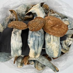 Raw Psychedelic Mushroom 🍄 : Tuti Vuitton