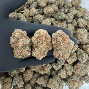 🌟 Gold Tier: Black Ice Nose: 8/10 🔥 Sweet Hay 😋