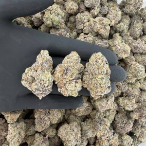 ZaZa Tier: Blue Hawaiian  Nose: 10/10 🔥 Dank Fruit 😋