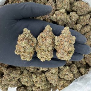 💎 Gold Tier: Blue Jam  Nose: 8/10 🔥 Fresh Sweets 😙