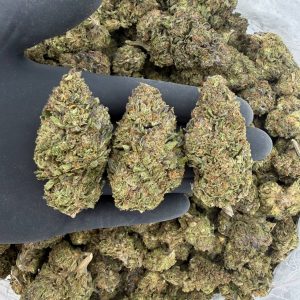 Solar Skunk Tier: Blue Rhino  Nose: 7/10 🔥 Sweet Earth 🤩