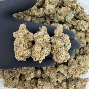 🌊 Platinum Tier: Caribbean Breeze  Nose: 10/10 🔥 Creamy Sweet 🤩