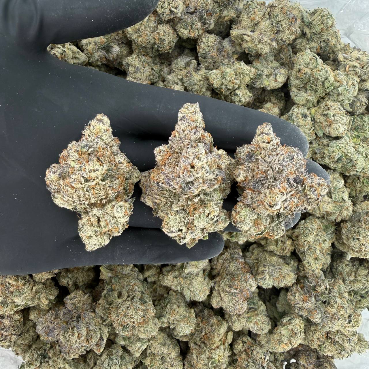 Exotic Tier: Cereal Milk Nose: 9/10 π₯ Creamy Sweet πΆβπ«οΈ