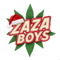 ZAZABOYS
