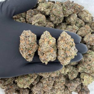 🌴💨 Exotic Tier — Gello  👃 Nose: 9/10 🔥 Sweet Berry 🤤