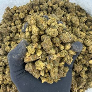 🌞 Solar Skunk – Glitter Bomb Tier  Nose: 6/10 🔥 Fruity Skunk 🤩