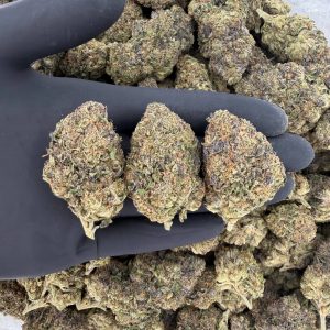 🌞🌿 Solar Skunk Tier — Gushers  👃 Nose: 7/10 🔥 Herbal Grape 😁