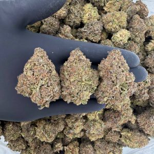 🍨 Solar Skunk Tier: Ice Cream Cake  Nose: 7/10 🔥 Nutty Sweet 🤤