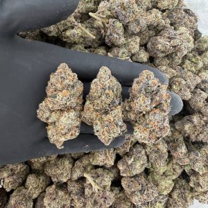 Platinum Tier: Kandy Krush  Nose: 10/10 🔥 Sweet Fruit 🤤