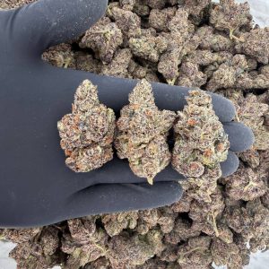 🍇 ZaZa Tier: Kush Berry  Nose: 10/10 🔥 Earthy Citrus 😋