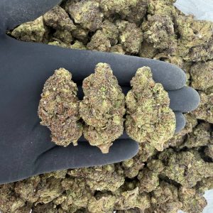 Solar Skunk Tier: Kush Mints  Nose: 6/10 🔥 Woody Sweet 🤩