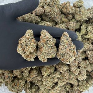 🍋 ZaZa Tier: Lemon Heads  Nose: 10/10 🔥 Earthy Lemon 🔪