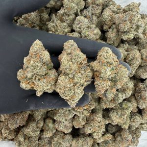 Platinum Tier: Limoncello  Nose: 10/10 🔥 Lemon Berry 😵‍💫