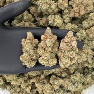 💎👑 Platinum Tier — Original Glue  👃 Nose: 10/10 🔥 Dank Diesel 😵‍💫