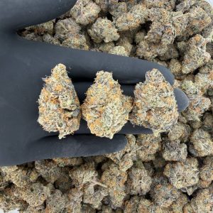 ZaZa Tier: Payton Pie  Nose: 10/10 🔥 Nuttie Pie 🔪