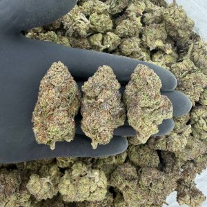 Solar Skunk Tier: Rainbow Zoap  Nose: 7/10 🔥 Earthy Sugar 😋