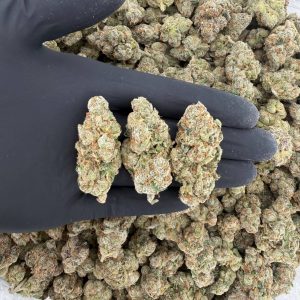 🌟 Gold Tier: Sour Pez  Nose: 8/10 🔥 Sour Fruity 😁