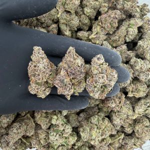 🍬 Platinum Tier: Super Runtz  Nose: 10/10 🔥 Fruity Citrus 😁