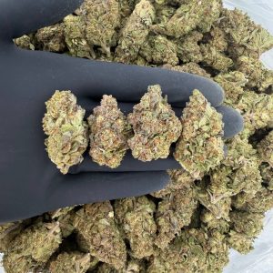 🌞 Solar Skunk – The Underground Tier  Nose: 6/10 🔥 Gassy Fruit 😶‍🌫️