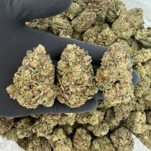 Silver Tier: Violet Fog  Nose: 8/10 🔥 Fruity Spice 😇