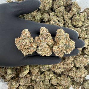 💎 Platinum Tier: Warheadz  Nose: 10/10 🔥 Lemony Candy 🤩