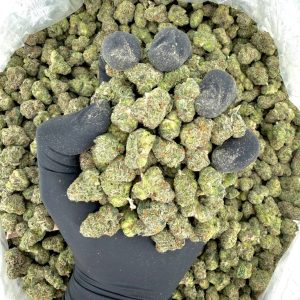 Exotic Smalls: Acai Berry  Nose: 8/10 🔥 Earthy Berry 🤤