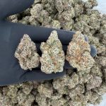 🔥 Platinum Tier: Adios MF  Nose: 10/10 🔥 Sweet Skunk 😶‍🌫️