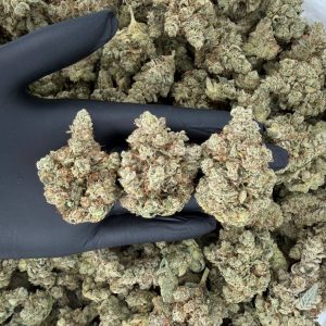 🔥 ZaZa Tier: Big Foot Glue  Nose: 10/10 🔥 Nutty Sweet 😌