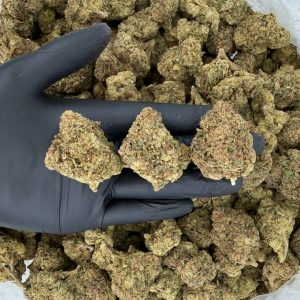 Solar Skunk Tier: Black Cherry  Nose: 6/10 🔥 Berry Skunk 😌