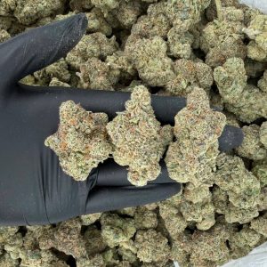 ZaZa Tier: Blue Warheads   Nose: 10/10 🔥 Earthy Woody 😵‍💫