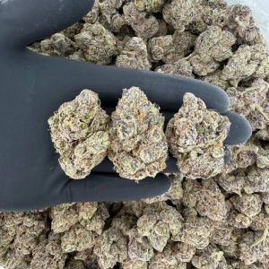 🔥Platinum Tier: Blueberry Zkittlez  Nose: 10/10 🔥 Sweet Berry 😁