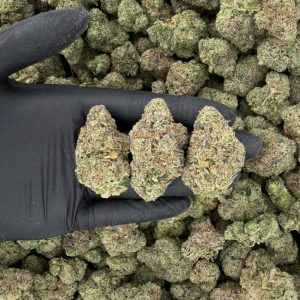 🔥 Gold Tier: Candy Hearts  Nose: 8/10 🔥 Sweet Diesel 😋