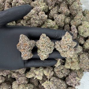 🔥 Platinum Tier: Chocolate Chip Cookies  Nose: 10/10 🔥 Flowery Mint 😊