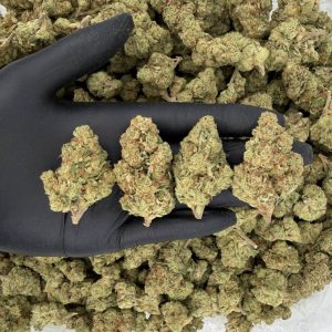 🌿 Solar Skunk Tier: Donkey Butter  Nose: 6/10 🔥 Earthy • Skunk 🤤