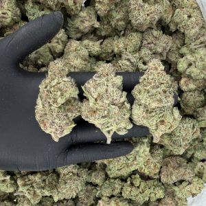 Gold Tier – Garlic Cocktail  Nose: 8/10 🔥 — Garlicky citrus 🧄🍊