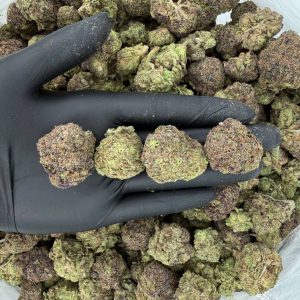 π Gold Tier: Gelato #45 π¨ Nose: 8/10 π₯ Earthy β’ Fruity βΊοΈ