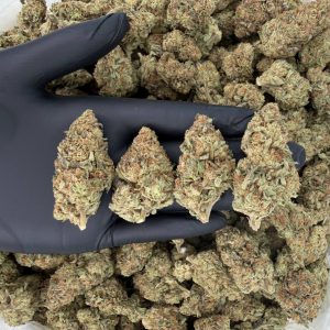 🌞 Solar Skunk Tier: GMOG 🌰  Nose: 7/10 🔥 Nutty • Sweet 😉