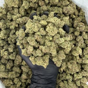 🍇 Silver Tier: Grape Stomper  Nose: 8/10 🔥 Fruity · Candy 😌