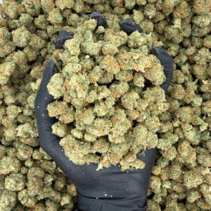 🌟 Exotic Smalls: Green Crack 🌟  Nose: 8/10 🔥 Sweet Citrus 🤤