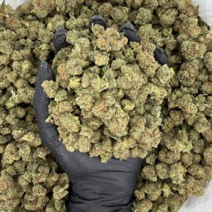 🌟 Exotic Smalls: Kosher Kush 🌟  Nose: 8/10 🔥 Piney Skunk 😲