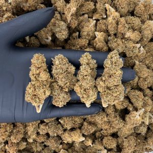 🌞 Solar Skunk Tier: Maui Wowie  Nose: 6/10 🔥 Floral Pine ☺️