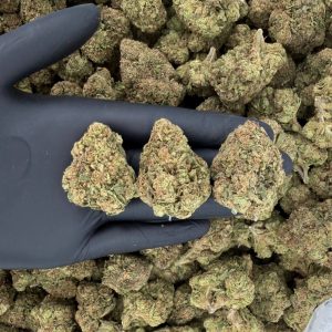 🌞 Solar Skunk Tier: Purple OG  Nose: 6/10 🔥 Sweet Musk 🫠